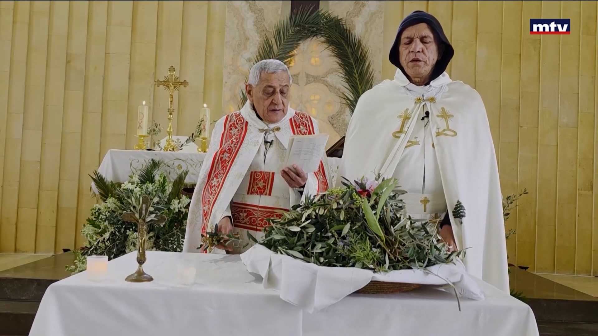 قداديس أحد الشعانين تعم المناطق