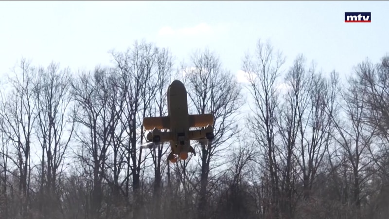 النشرة الكاملة