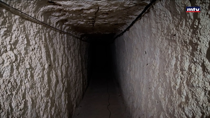 النشرة الكاملة