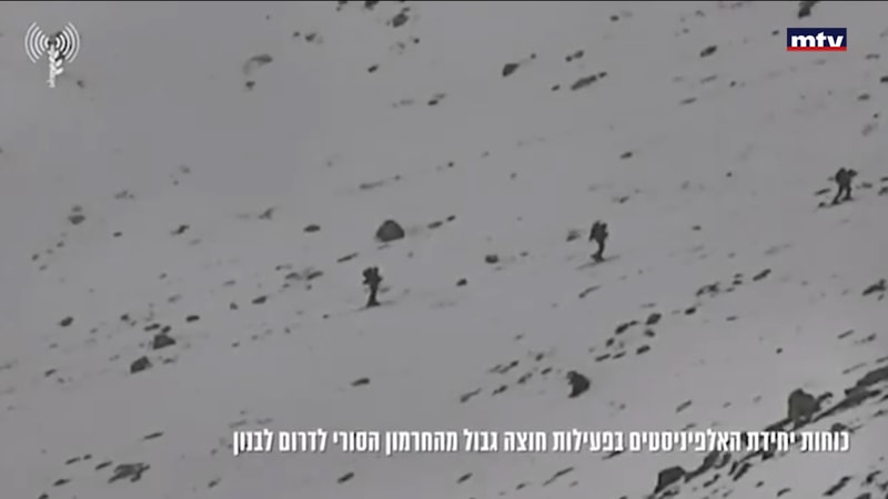 النشرة الكاملة