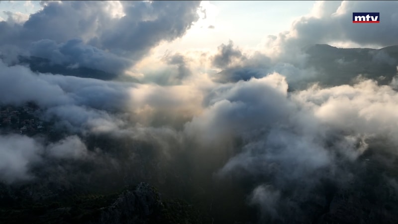 النشرة الكاملة