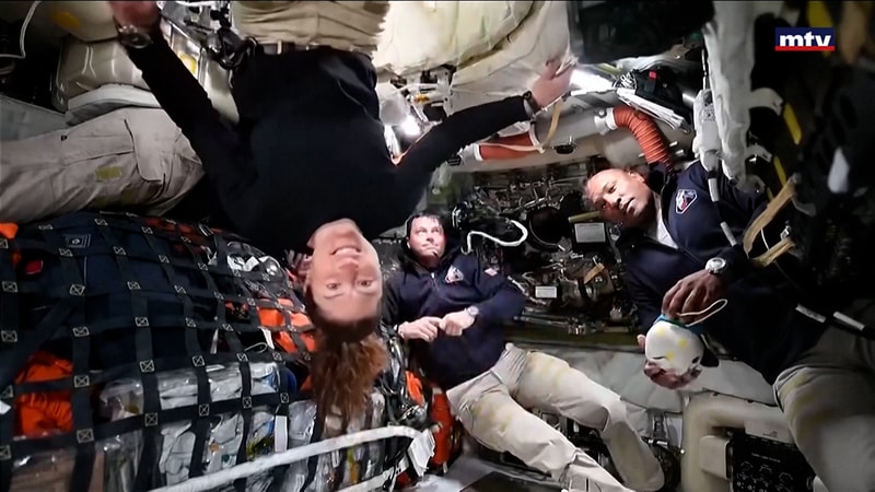 النشرة الكاملة