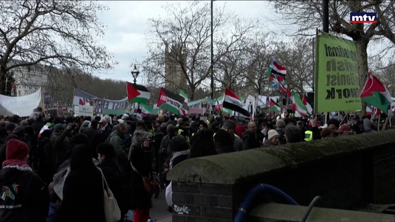 النشرة الكاملة