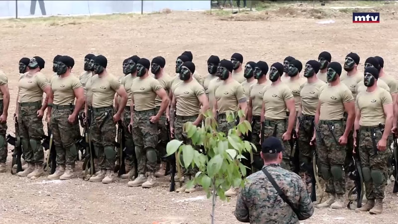 النشرة الكاملة