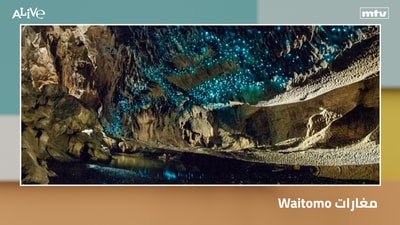 Waitomo caves