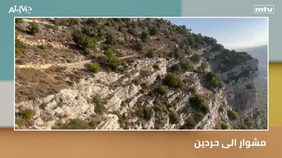 مشوار الى حردين