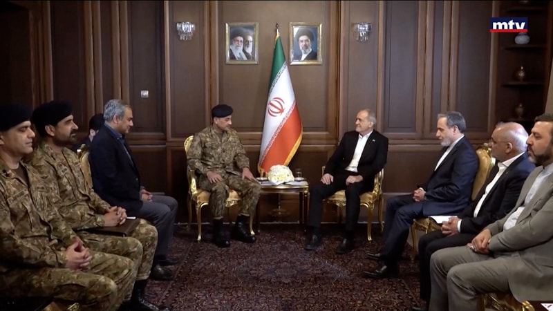 النشرة الكاملة