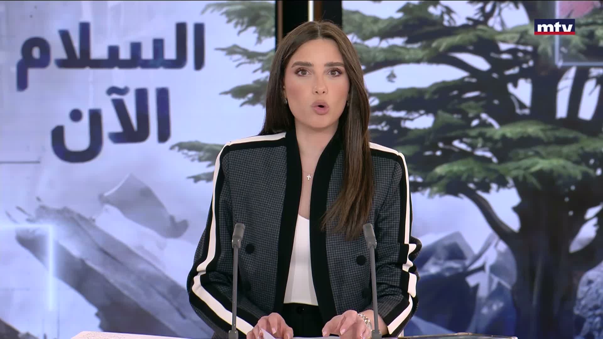 لقاء تشاوري مطوّل بين الجميّل وجعجع في معراب