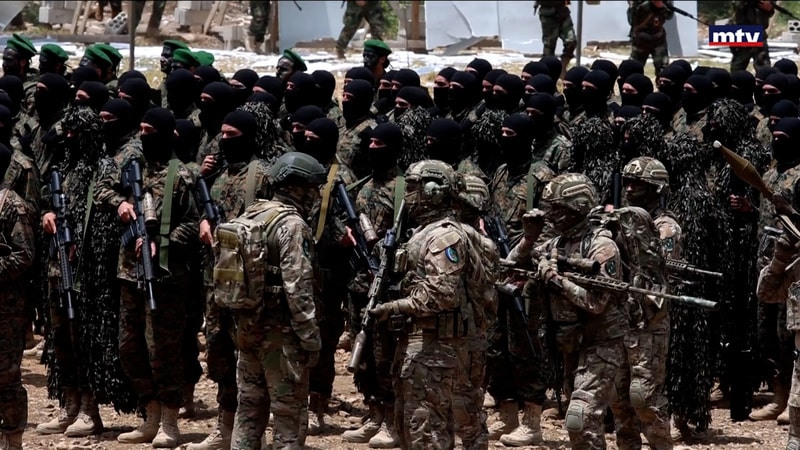 النشرة الكاملة