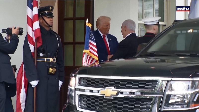 النشرة الكاملة