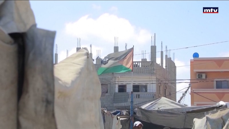 النشرة الكاملة