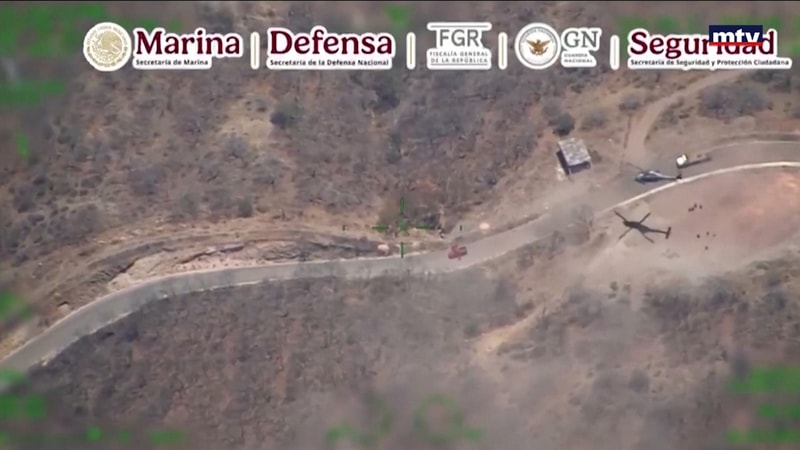 النشرة الكاملة