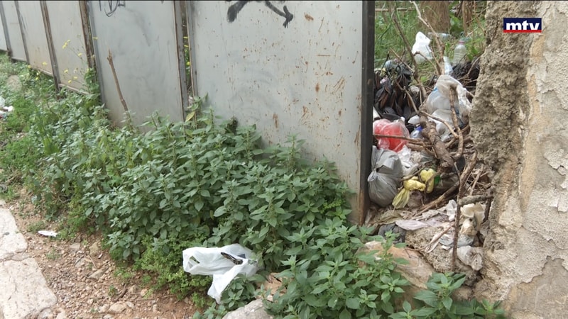 النشرة الكاملة