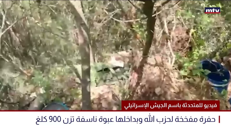 النشرة الكاملة