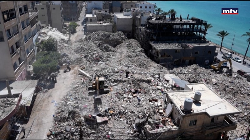 النشرة الكاملة