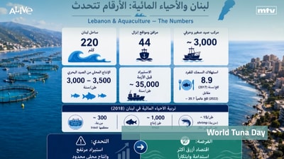 اليوم العالمي للتونة