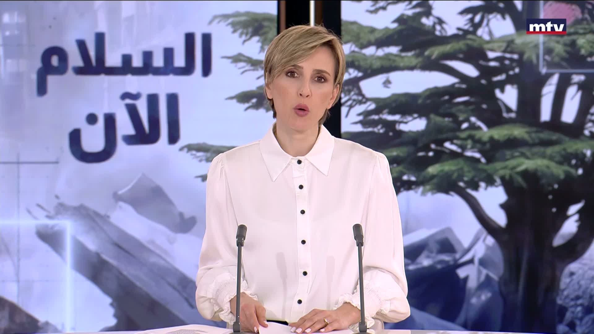 رئيس الجمهورية العماد جوزاف عون