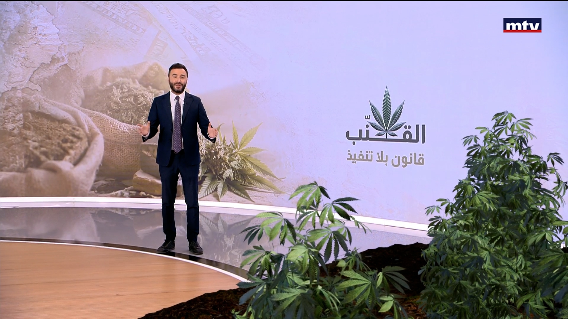 زراعة الحشيشة