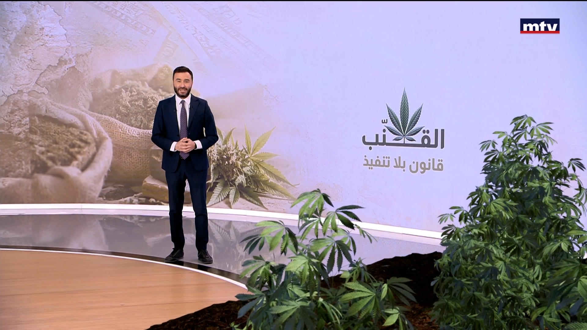 بعدما شـُرّعت زراعة الحشيشة في لبنان لماذا لم يبطق القانون فعليًا