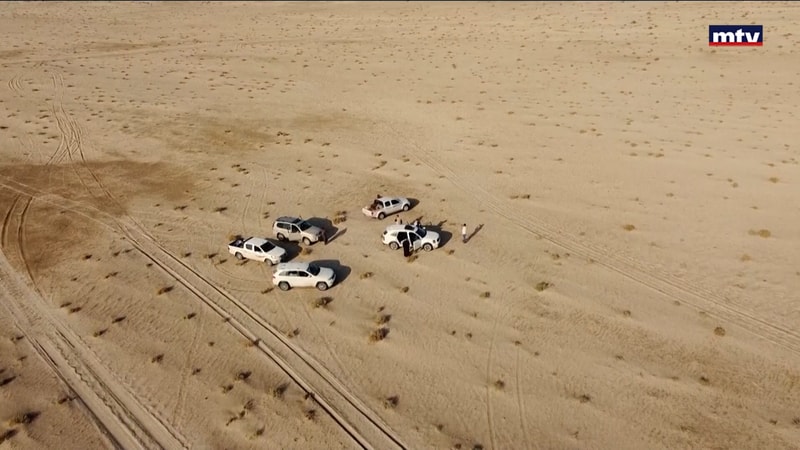 النشرة الكاملة
