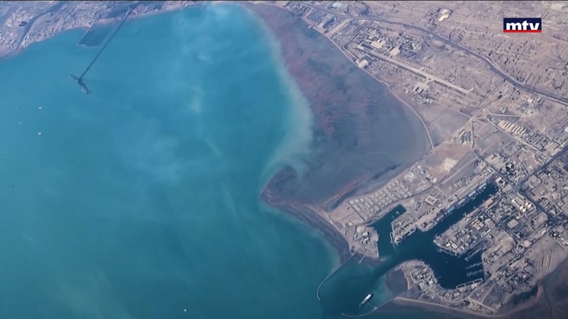 النشرة الكاملة