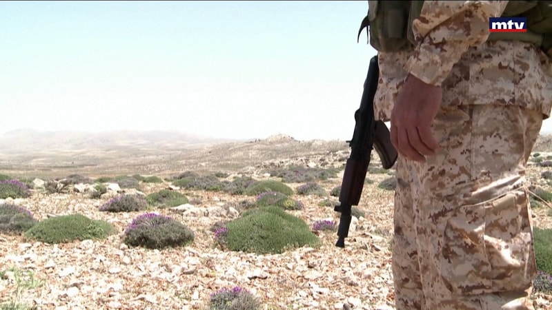 النشرة الكاملة