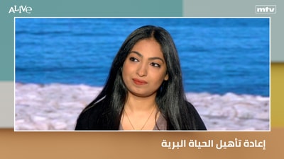 إعادة تأهيل الحياة البرية