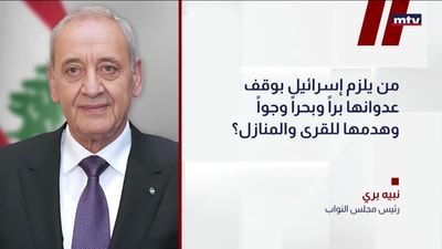 رئيس مجلس النواب نبيه بري