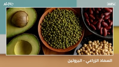 السماد الزراعي - البروتين