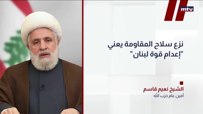 قاسم: مفاوضات واشنطن مذلّة للبنان