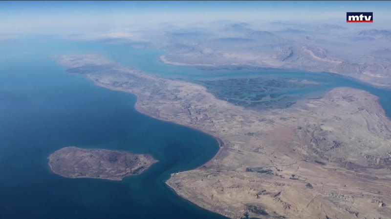 النشرة الكاملة