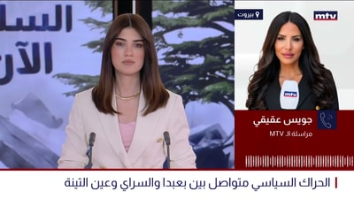 الحراك السياسي متواصل بين بعبدا والسراي وعين التينة