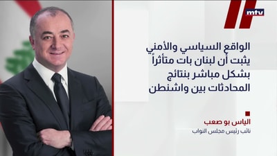 نائب رئيس مجلس النواب الياس بو صعب