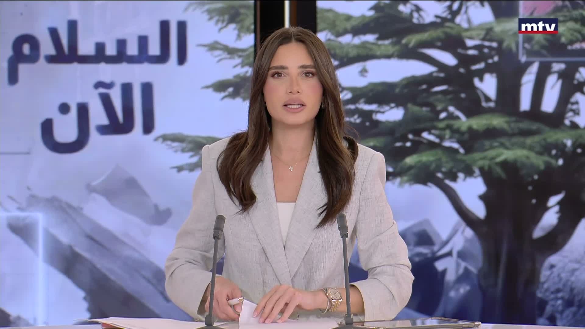 عون: خيارنا الدولة والسيادة