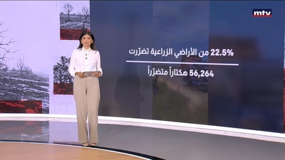 الحرب تضرب الزراعة في الجنوب