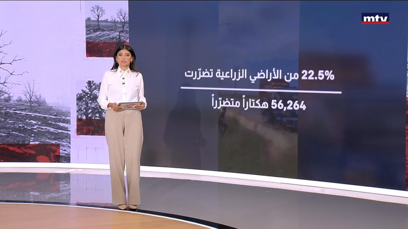 النشرة الكاملة