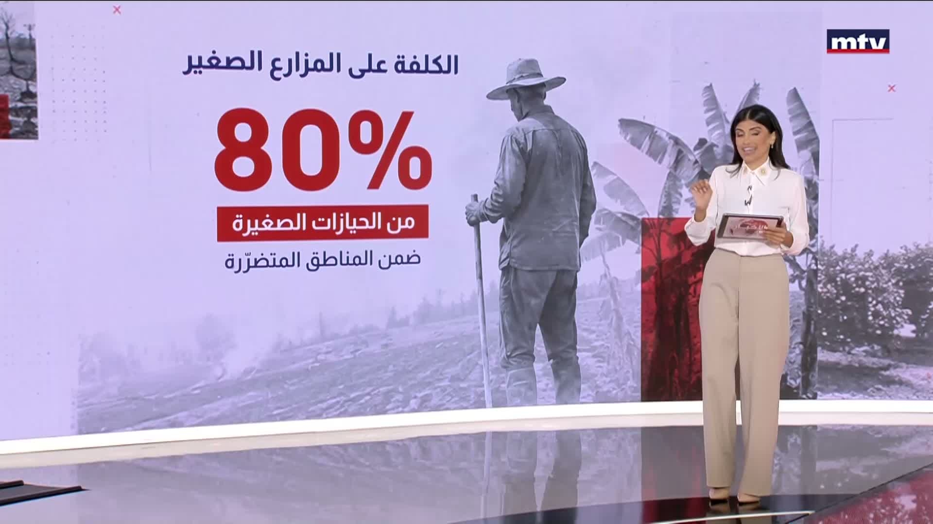 كوارث الحرب طاولت اكثر القطاعات حيوية في الجنوب الزراعي