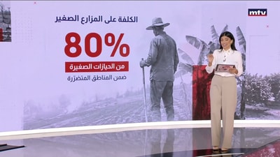 كوارث الحرب طاولت اكثر القطاعات حيوية في الجنوب الزراعي