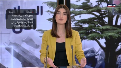 عضو كتلة الوفا للمقاومة النائب حسن فضل ‌الله