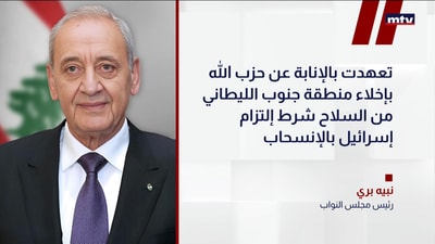 رئيس مجلس النواب نبيه بري