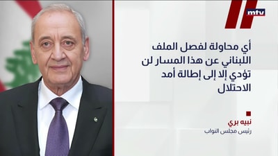 بري في حديث صحافي