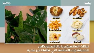 Sansevieria and Zamikulcas plants - The truth behind foods we think are unhealthy