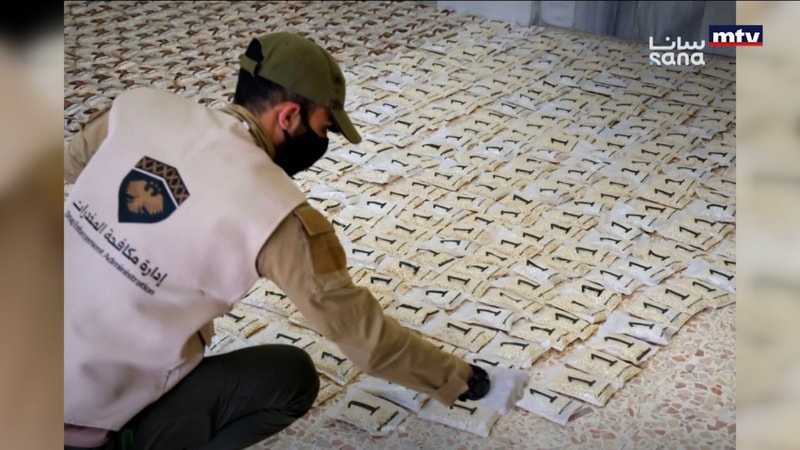 النشرة الكاملة
