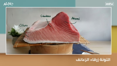 التونة زرقاء الزعانف