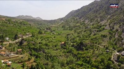 مجزرة في احراج الحمصية