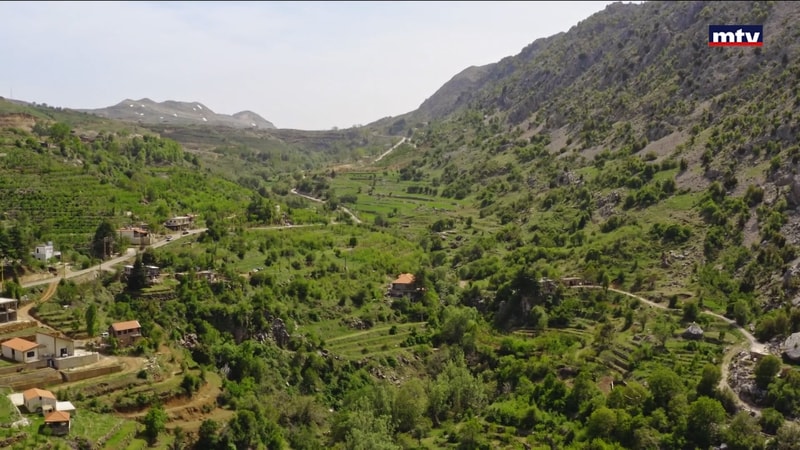 النشرة الكاملة