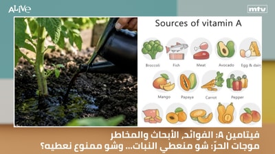 الفوائد، الأبحاث والمخاطر - موجات الحرّ: شو منعطي النبات… وشو ممنوع نعطيه؟ :A فيتامين