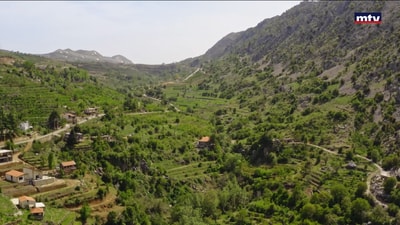 مجزرة في احراج الحمصية