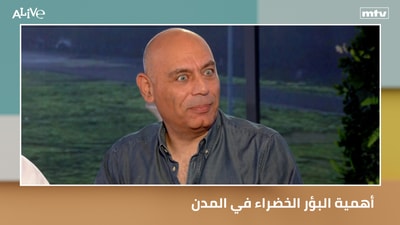 أهمية البؤر الخضراء في المدن