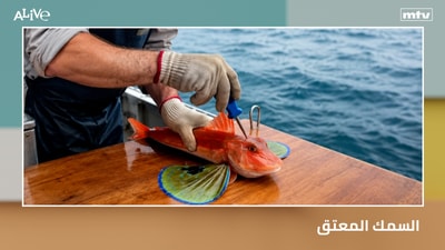 السمك المعتق